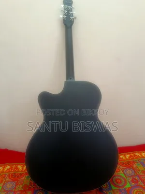 ইন্ডিয়ান সিগনেচার গিটার