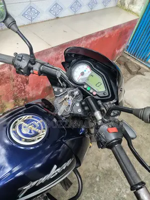 Bajaj Pulsar 150 2017 Blue