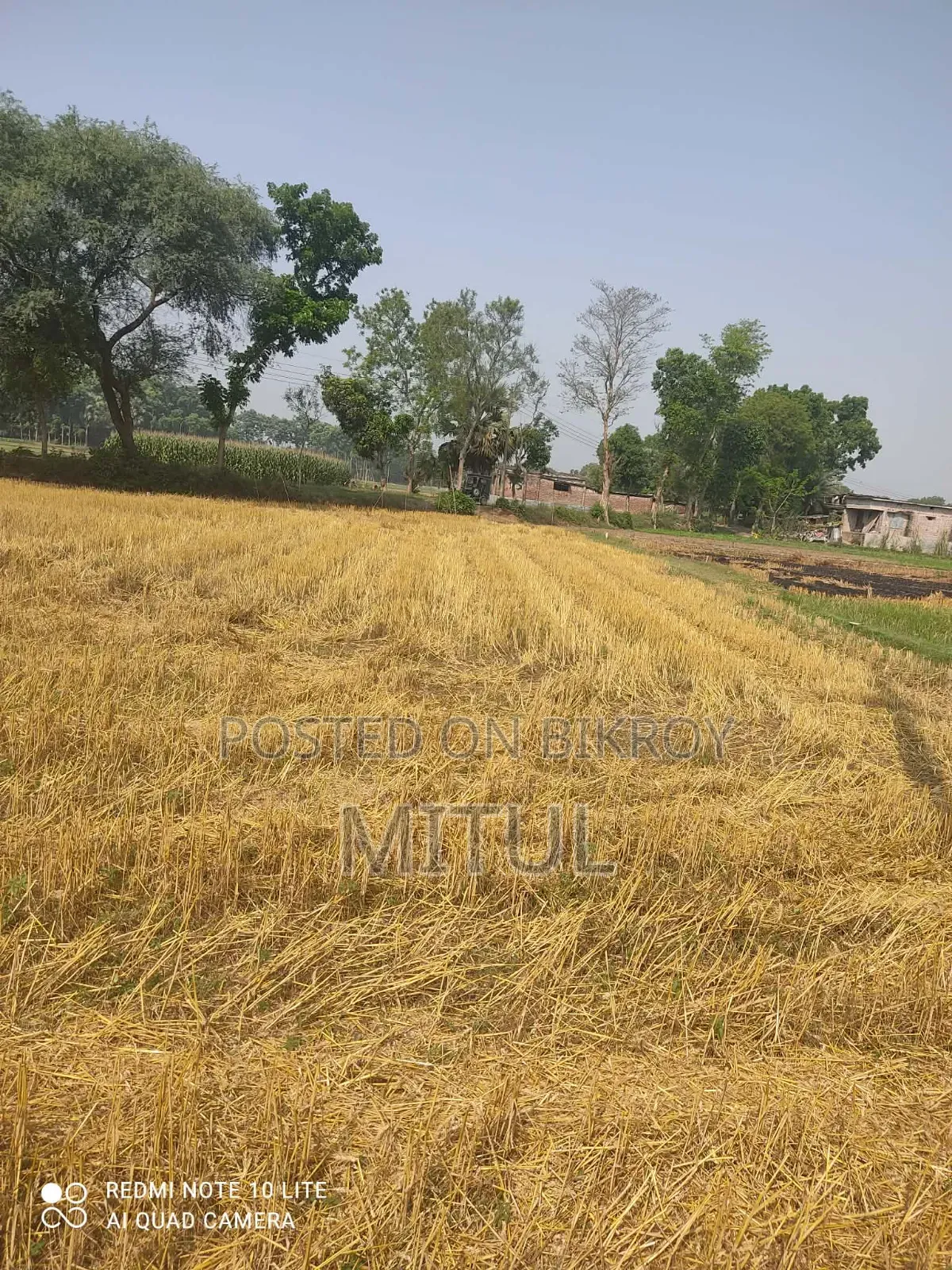 Land for Sale Jomi Rajshahi