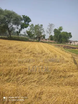 জমি বিক্রয় Jomi Rajshahi