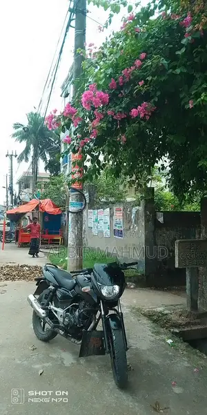 Bajaj Pulsar 150 2013 Black