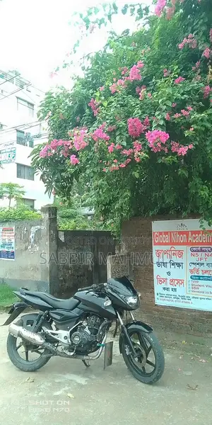 Bajaj Pulsar 150 2013 Black
