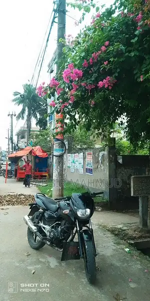 Bajaj Pulsar 150 2013 Black