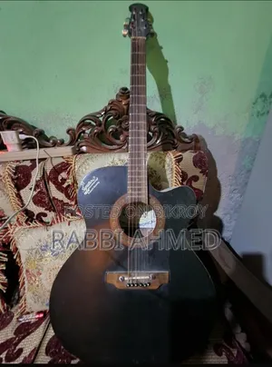 ইন্ডিয়ান সিগনেচার গিটার