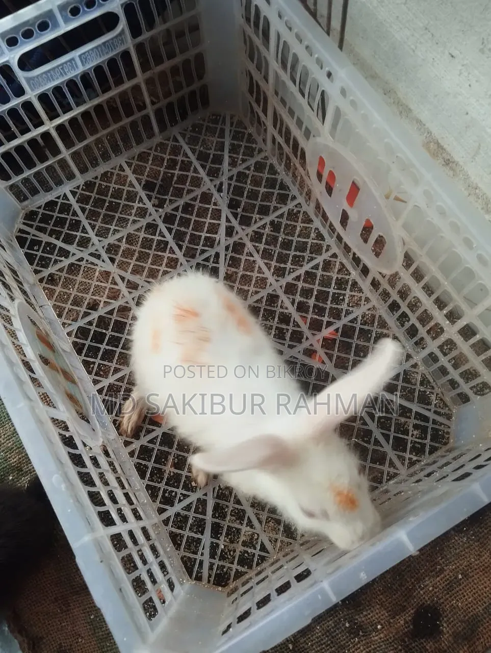 MD Sakibur Rahman