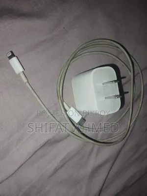 iPhone Charger