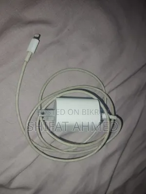 iPhone Charger