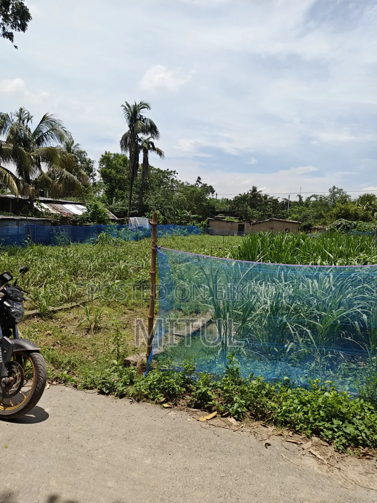Land for Sale Jomi Rajshahi