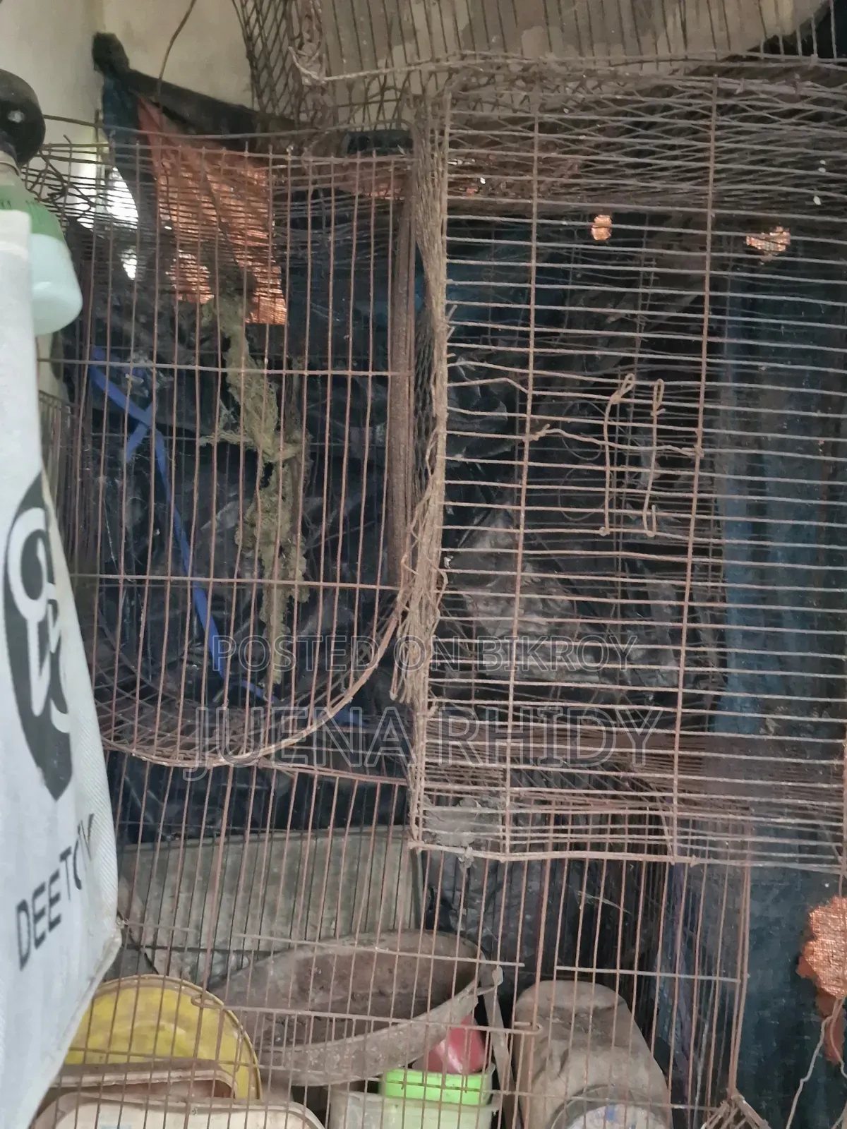 Bird Cage
