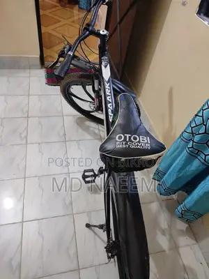 Spaark Mountain Bicycle