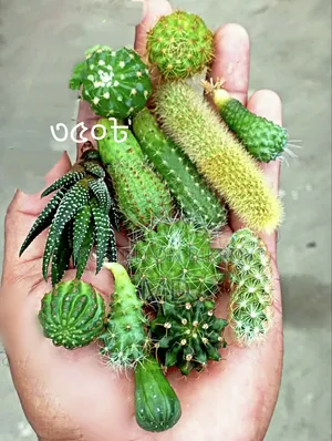 Want to sell