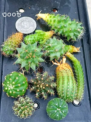 Want to sell