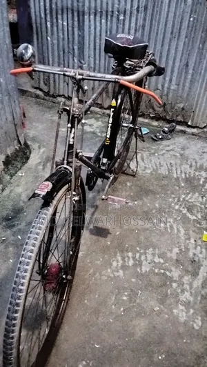 ভাই সাইকেল