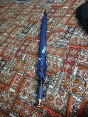 BMW Umbrella