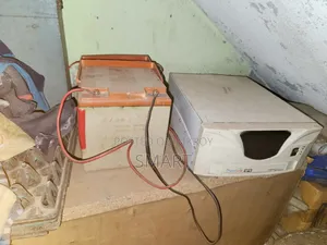আইপিএস ব্যাটারি সহ ২ ফ্যান লাইট