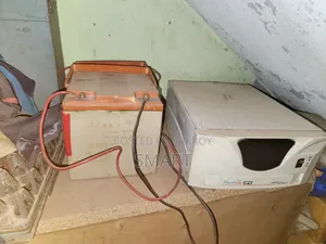 আইপিএস ব্যাটারি সহ ২ ফ্যান লাইট