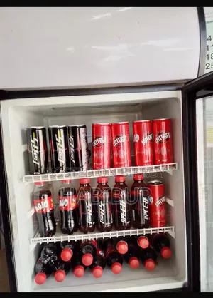 Mini beverage fridge
