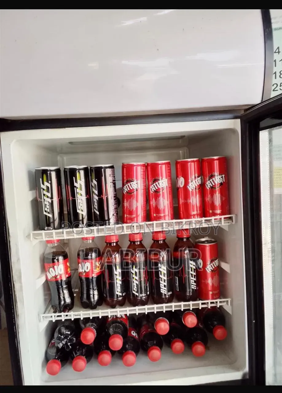 Mini beverage fridge