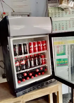 Mini beverage fridge