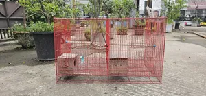 চায়না খাঁচা