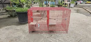 চায়না খাঁচা