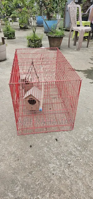 চায়না খাঁচা