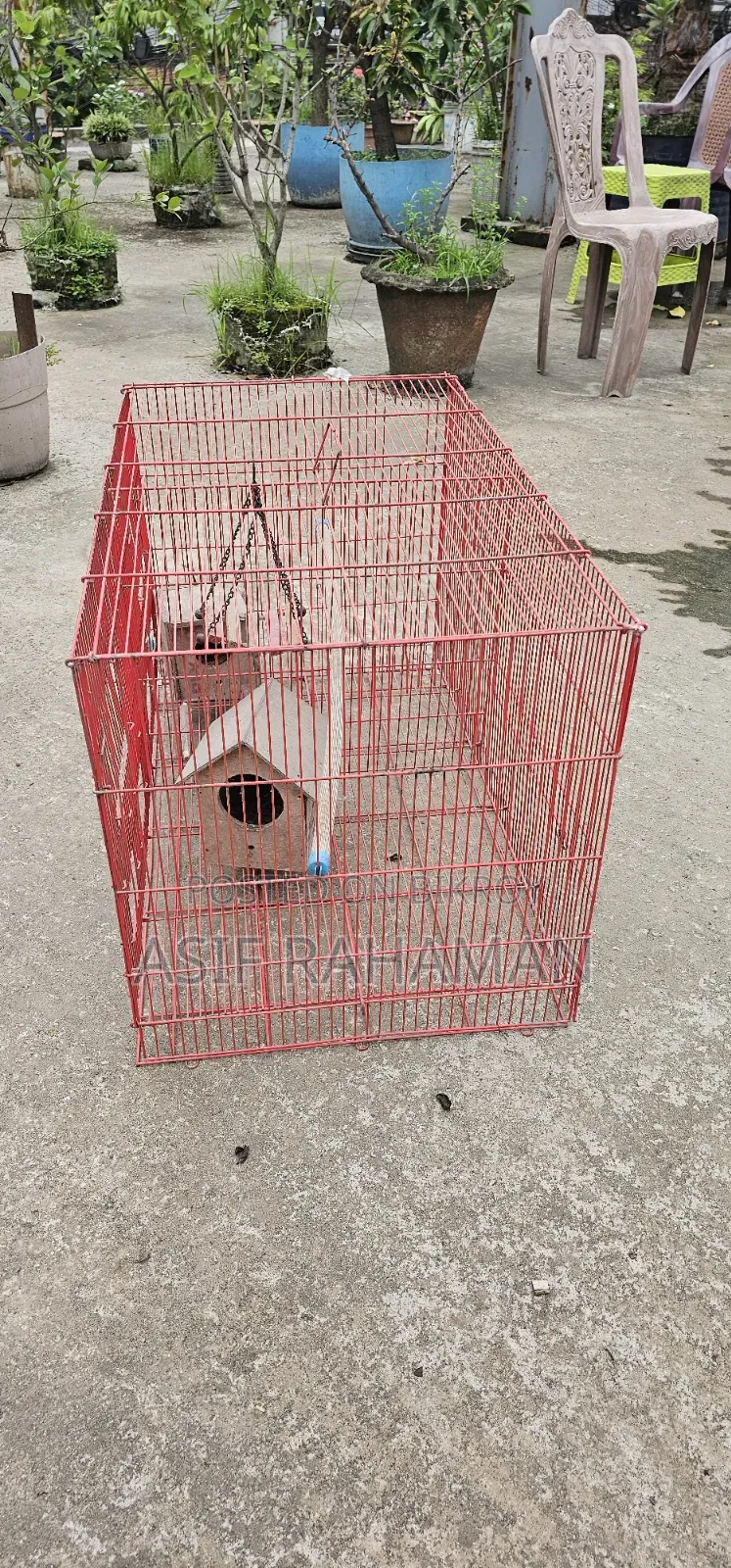 চায়না খাঁচা