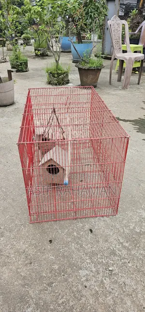 চায়না খাঁচা