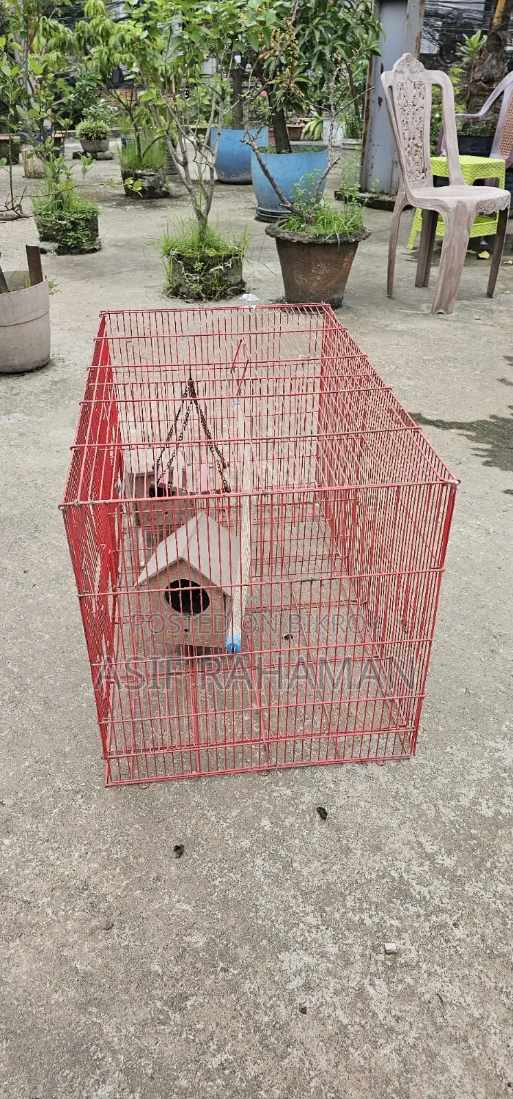 চায়না খাঁচা
