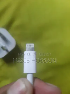 Apple Charger