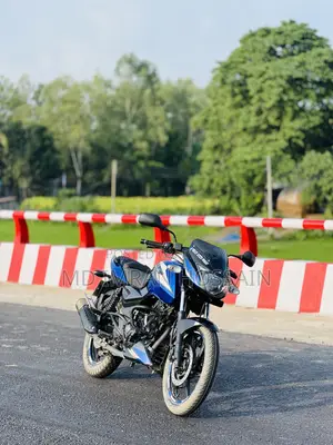 বাজাজ পালসার ১৫০ ২০২৪ গ্রিন