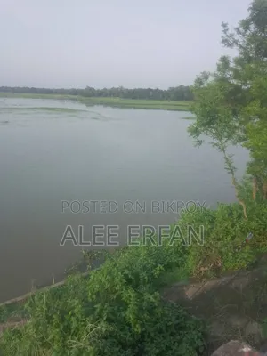High Tech Fisheries Resort