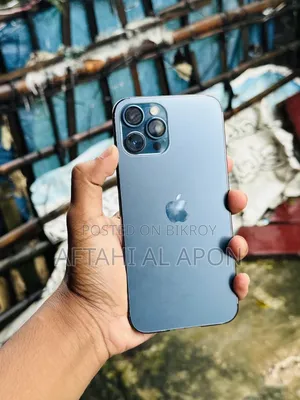 অ্যাপল আইফোন ১২ প্রো ম্যাক্স ২৫৬ জিবি নীল
