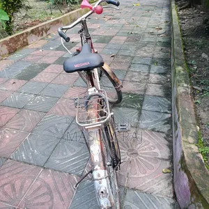 প্রিন্স বাইসাইকেল