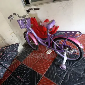 প্রিন্স বাইসাইকেল