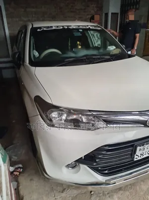 Toyota Corolla Fielder 2017 Pearl
