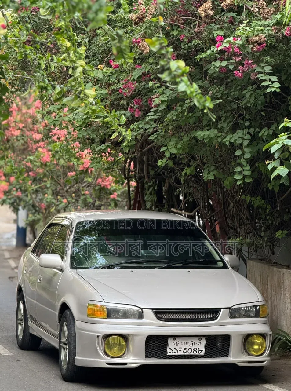 Toyota Corolla 1995 Silver
