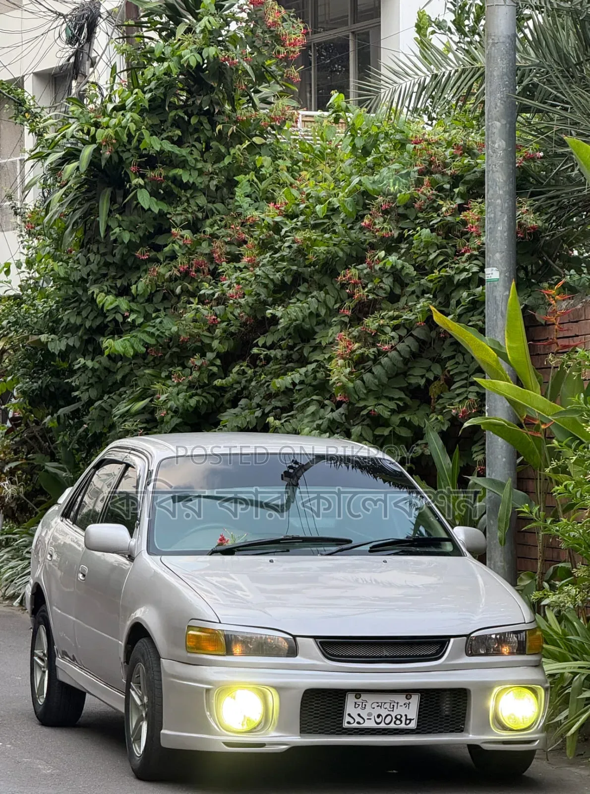 Toyota Corolla 1995 Silver