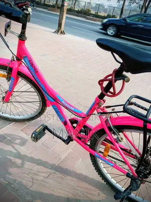 লেডিস সাইকেল