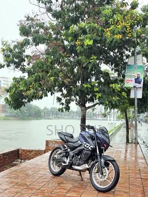 Bajaj Pulsar NS 160 2019 Blue
