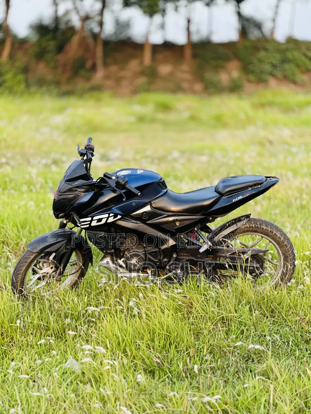 Bajaj Pulsar NS 160 2019 Blue