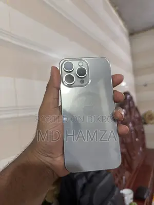 অ্যাপল আইফোন ১৫ প্রো ম্যাক্স ২৫৬ জিবি সিলভার