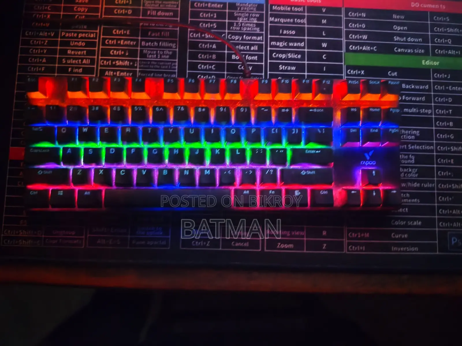 Rapoo V500pro-87