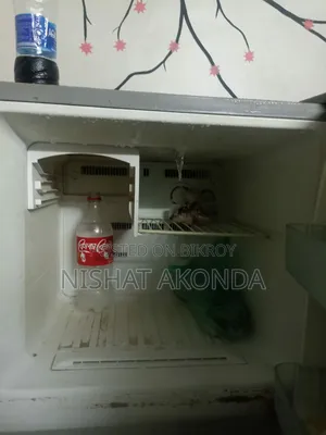Samsung Fridge