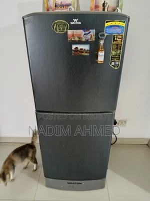 Walton 132 L Fridge