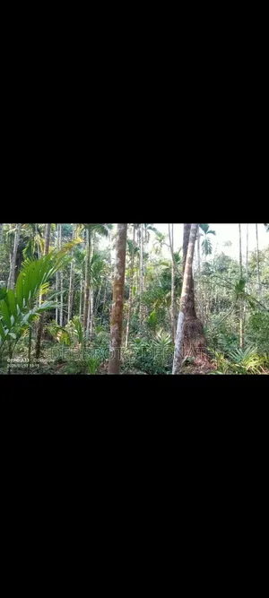 জমি বিক্রি ৯.৫ কাঠা বাগান বাড়ি, বাড়ি করার জন্য খুবই ভালো
