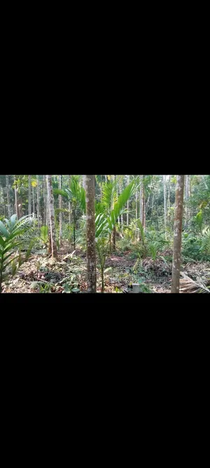 Land for sale 9.5 katha garden house, very good for building a house