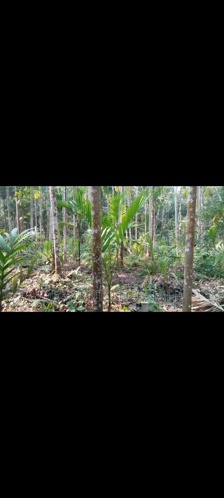 Land for sale 9.5 katha garden house, very good for building a house