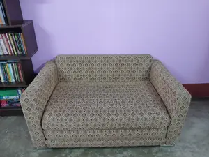 সোফা কাম বেড (রিগাল)