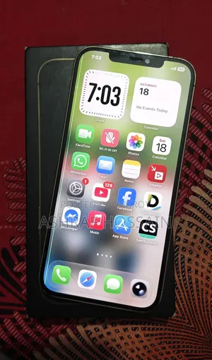 Apple iPhone 12 Pro Max 256 GB Rose Gold